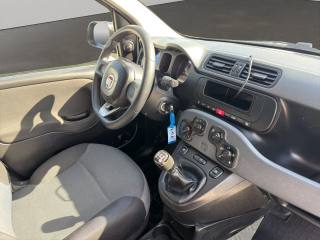 FIAT Panda usata 9