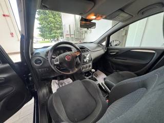 FIAT Punto usata, con Immobilizzatore elettronico