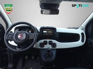 FIAT Panda usata, con Controllo elettronico della corsia