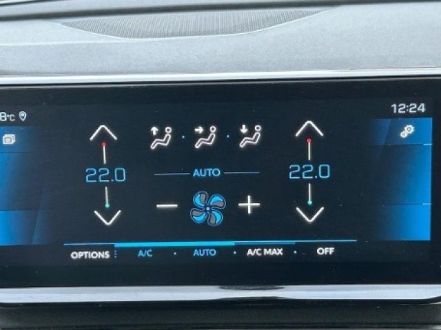 PEUGEOT 5008 usata, con Sensore di pioggia