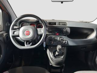 FIAT Panda usata 10