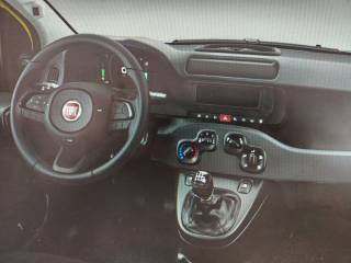 FIAT Panda usata, con Antifurto