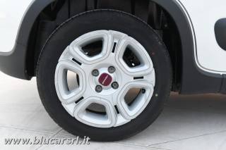 FIAT Panda usata 27