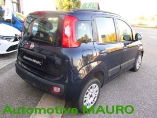 FIAT Panda usata 6