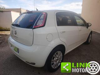 FIAT Punto usata 20