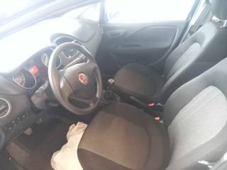FIAT Punto usata, con Controllo trazione