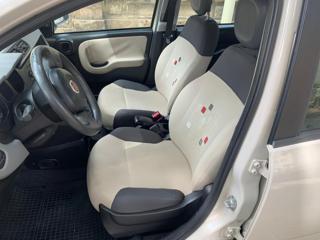FIAT Panda usata 14
