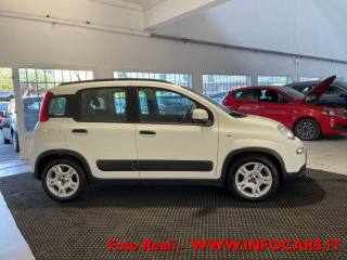 FIAT Panda usata, con Controllo trazione