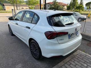 FIAT Tipo usata, con Cronologia tagliandi