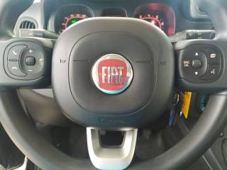 FIAT Panda usata, con Immobilizzatore elettronico