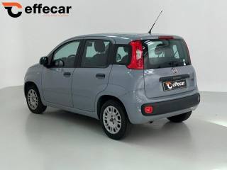FIAT Panda usata, con Alzacristalli elettrici
