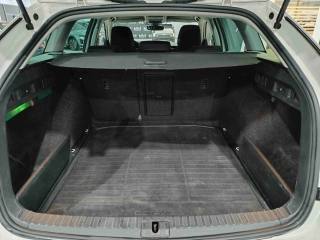 SKODA Octavia usata, con Fendinebbia