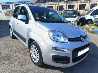 FIAT Panda usata 1