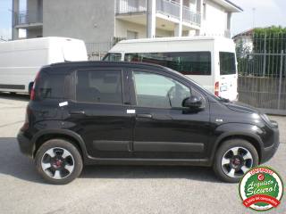 FIAT Panda Cross usata, con Fendinebbia