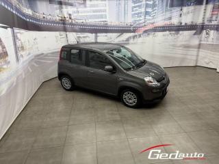 FIAT Panda usata, con Alzacristalli elettrici