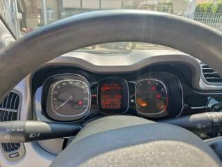 FIAT Panda usata, con Cronologia tagliandi