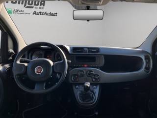 FIAT Panda usata 9