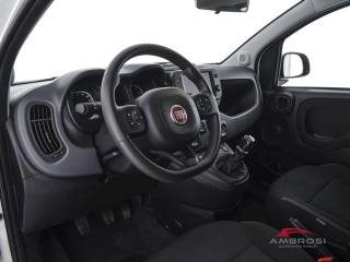 FIAT Panda usata 7