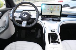 SMART Smart usata, con Cruise Control