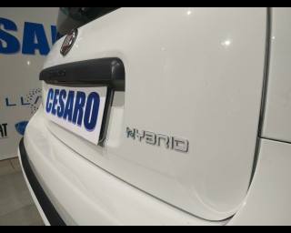 FIAT New Panda usata 21