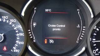FIAT 500L usata 98