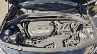 BMW X2 usata, con Vivavoce