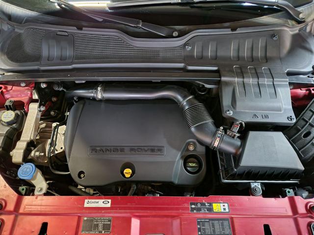 LAND ROVER Range Rover Evoque usata, con Cruise Control