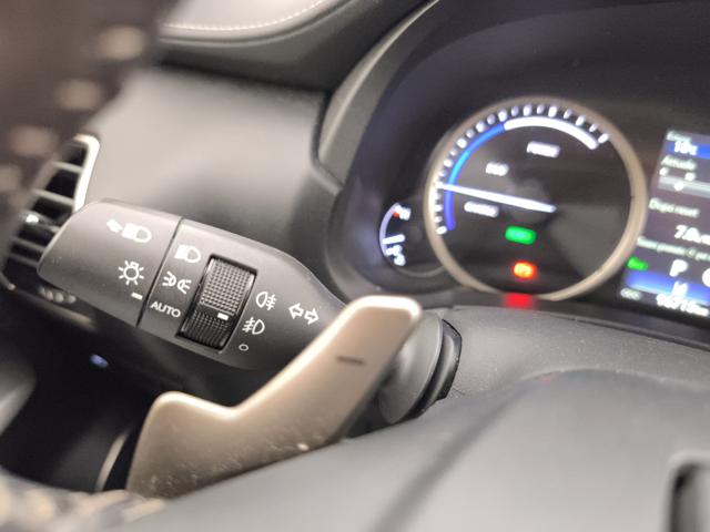 LEXUS NX 300h usata, con Servosterzo