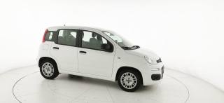 FIAT Panda usata 49