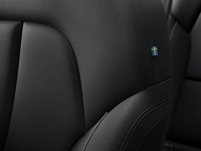 VOLVO EX40 usata, con Cruise Control