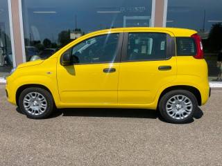 FIAT Panda 1.0 FireFly S&S Hybrid Pandina