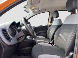 FIAT Panda usata 9
