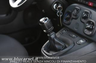 FIAT Panda usata 18