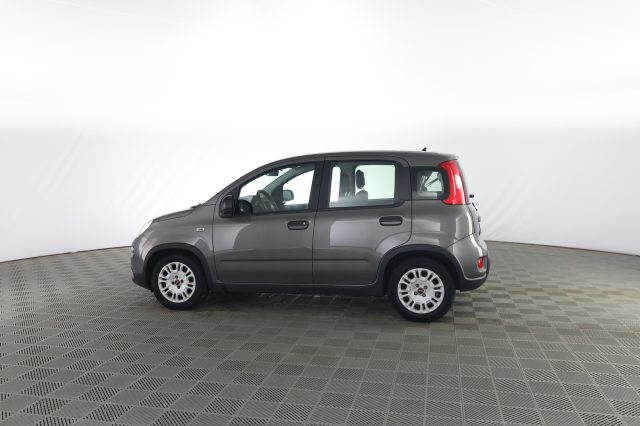 FIAT Panda usata 5