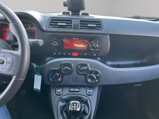 FIAT Panda usata 12