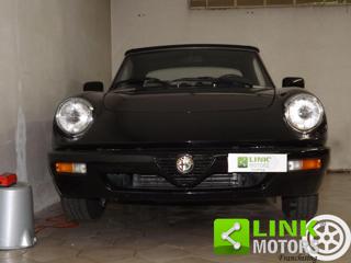ALFA ROMEO Spider usata 23