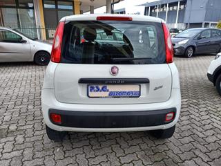 FIAT Panda usata, con Volante multifunzione