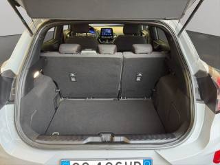 FORD Puma usata, con Sospensioni sportive