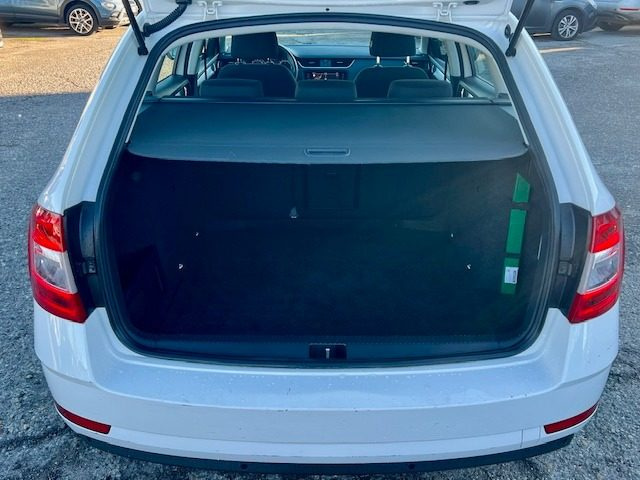 SKODA Octavia usata, con Volante multifunzione