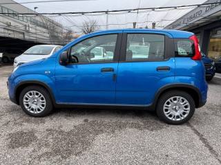 FIAT Panda usata, con Controllo trazione