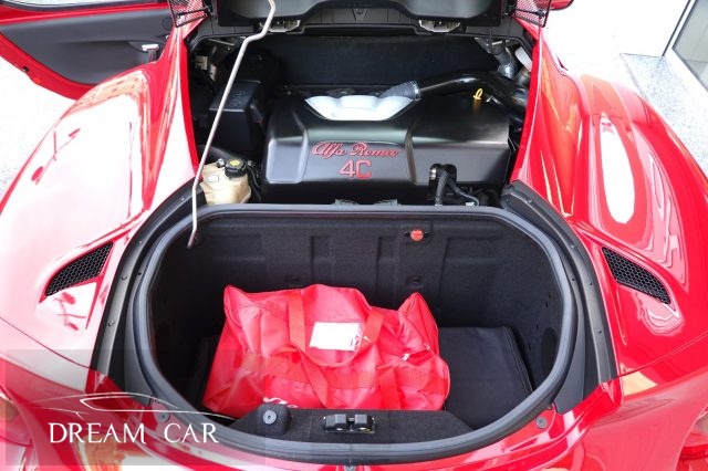 ALFA ROMEO 4C usata, con ESP