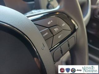 FIAT Panda usata, con Specchietti laterali elettrici