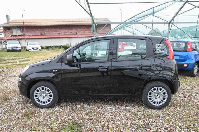 FIAT Panda usata, con Luci diurne LED
