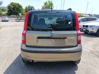 FIAT Panda usata 7