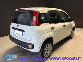 FIAT Panda usata, con Alzacristalli elettrici