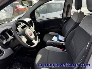 FIAT Panda usata, con Chiusura centralizzata