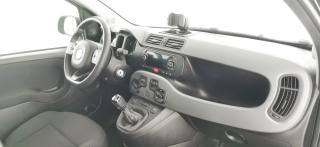 FIAT Panda usata 40