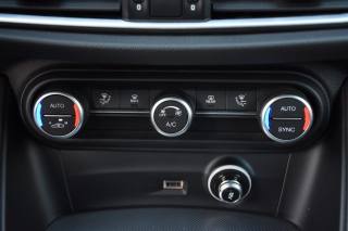 ALFA ROMEO Stelvio usata, con Servosterzo