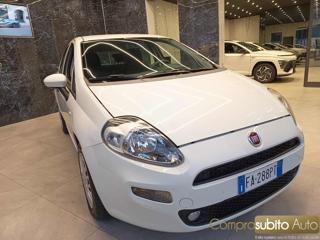 FIAT Punto usata, con Airbag Passeggero