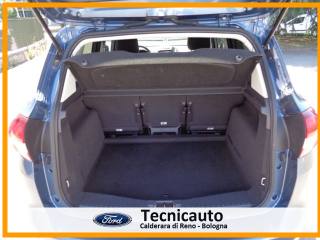 FORD C-Max usata, con Cronologia tagliandi